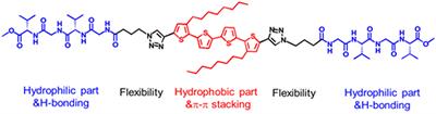 Solvent-Induced Supramolecular Assembly of a Peptide-Tetrathiophene-Peptide Conjugate